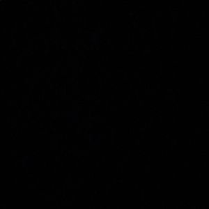 Meet your Posher, Saffie